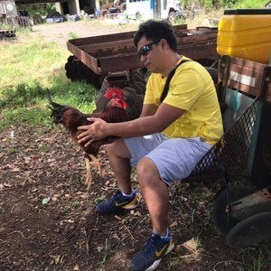 Meet your Posher, Alan